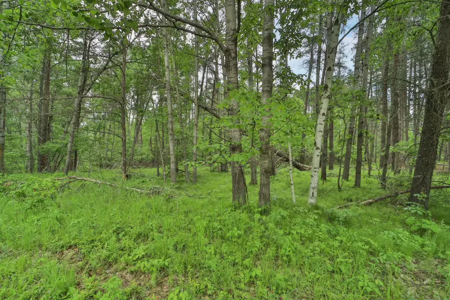 Lot 15 Cedar Street, Breezy Point, MN 56472 - #2