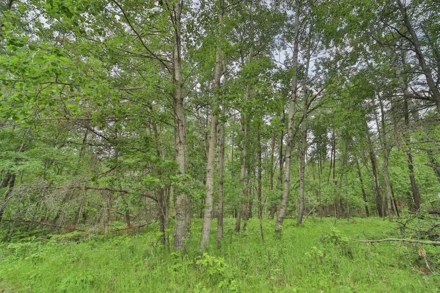 Lot 15 Cedar Street, Breezy Point, MN 56472 - #3