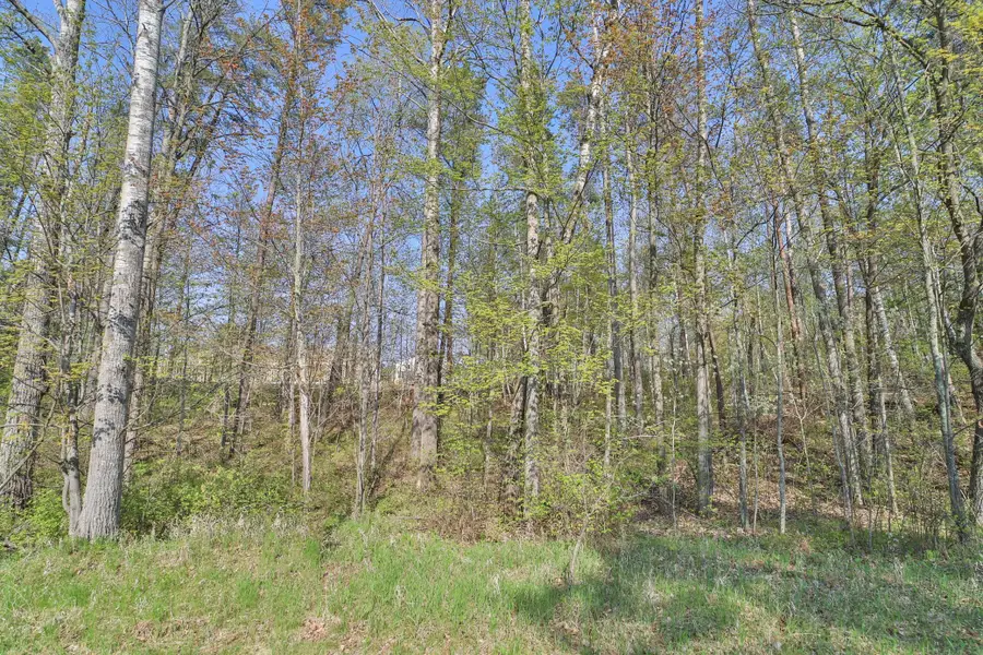 Lot 5, 6 & 7 Terminal Road, Breezy Point, MN 56472 - Image #3