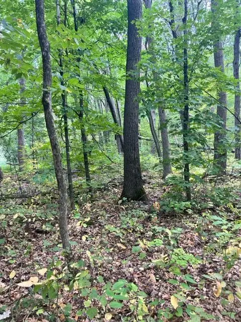 xxx Pebble Pass, Cushing, MN 56443 - #1