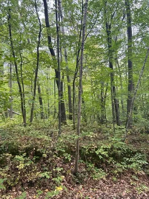 xxx Marble Dr, Cushing, MN 56443 - Image #1