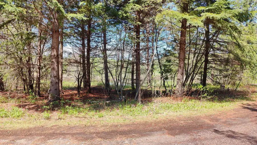 80086 Gruban Circle, Tower, MN 55790 - Image #3