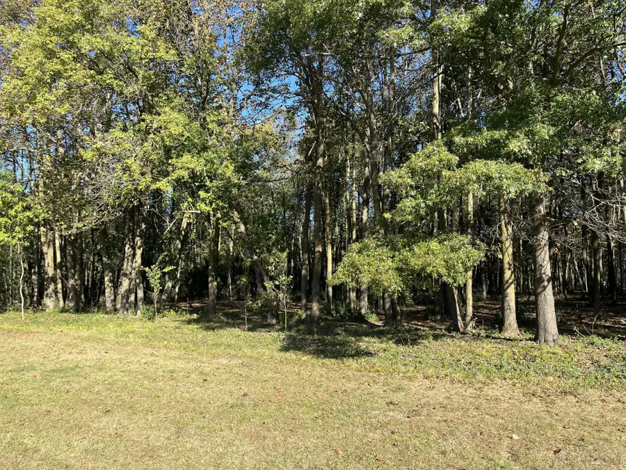 917 Scharbillig Court, Rice Lake, WI 54868 - #3