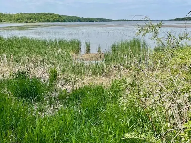 T134-R37 SEC.30    /  HWY Hwy 67, Henning, MN 56551 - #3