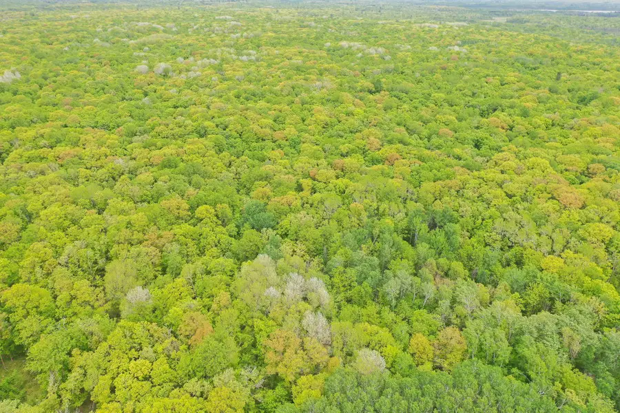 TBD Knopf Road, Rochert, MN 56578 - #3