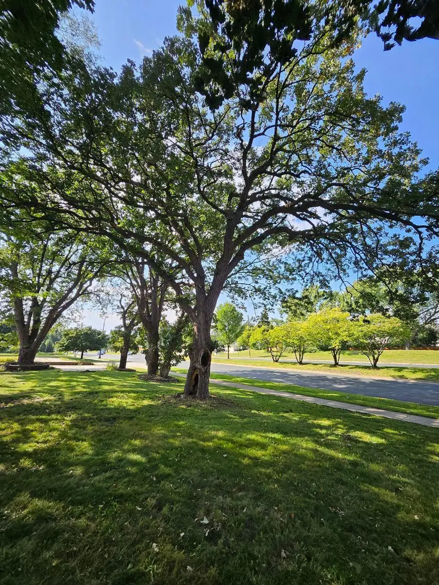 3801 69th Avenue N, Minneapolis, MN 55429 - Image #3