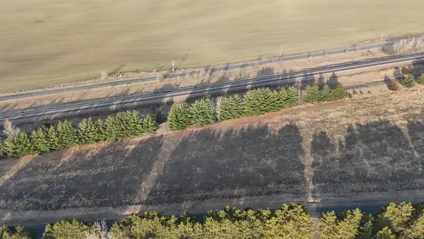 xxx Lot 5 10th Avenue Nw, Rice, MN 56367