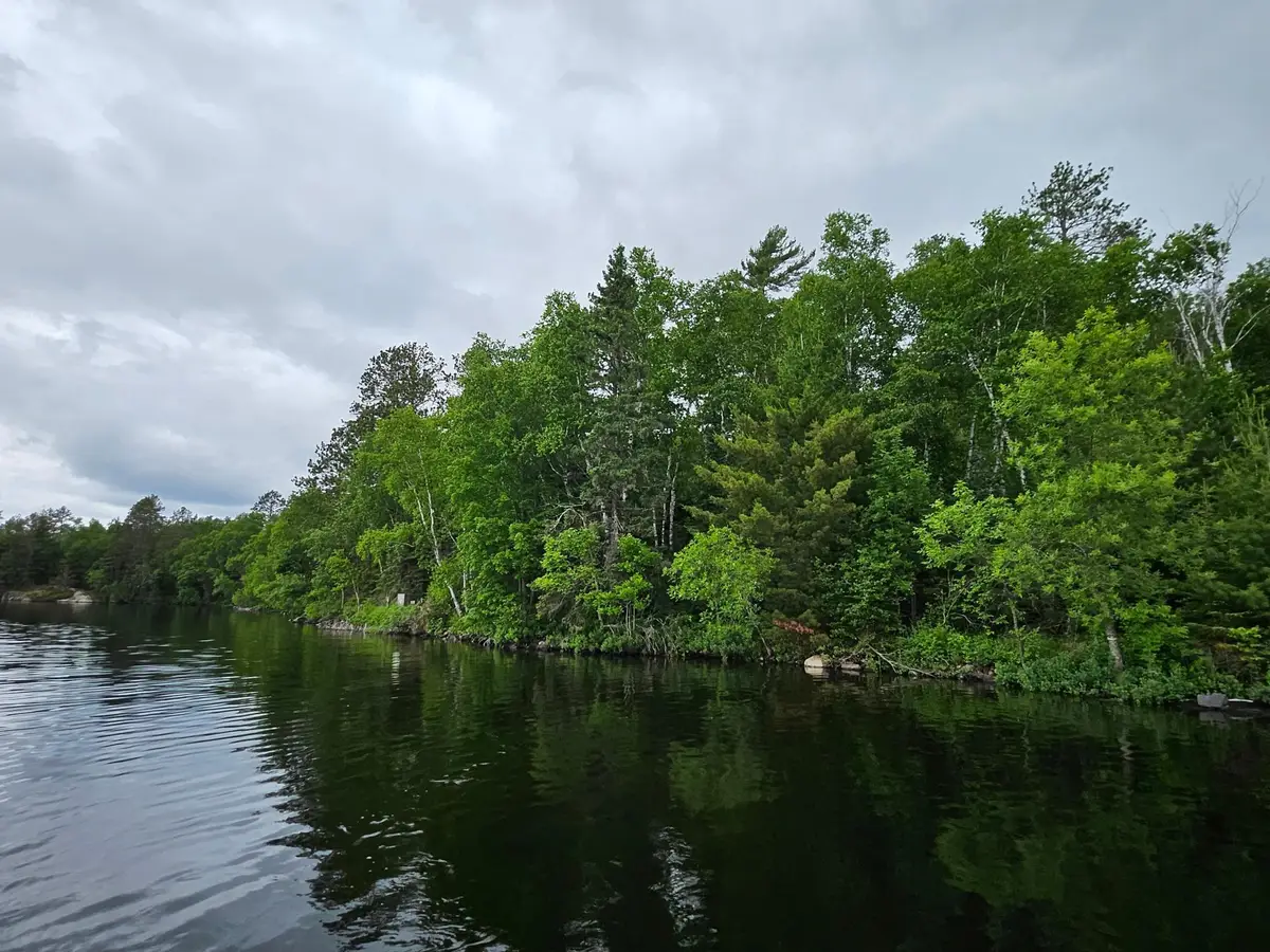 xxx Hinsdale Island, Cook, MN 55723 - #1