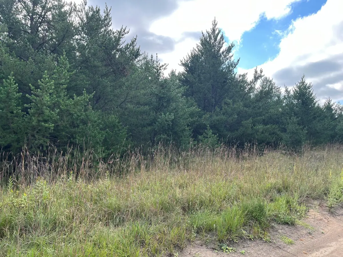 1707 Hassman Hill Tract D Road Sw, Pine River, MN 56474 - Image #1