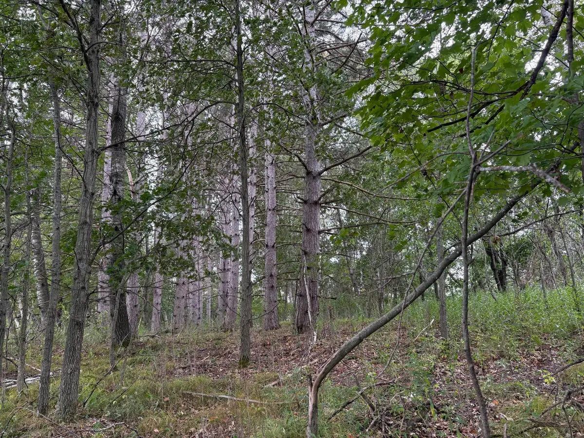 Lot 2 Lever Street Ne, Isanti, MN 55040 - #1