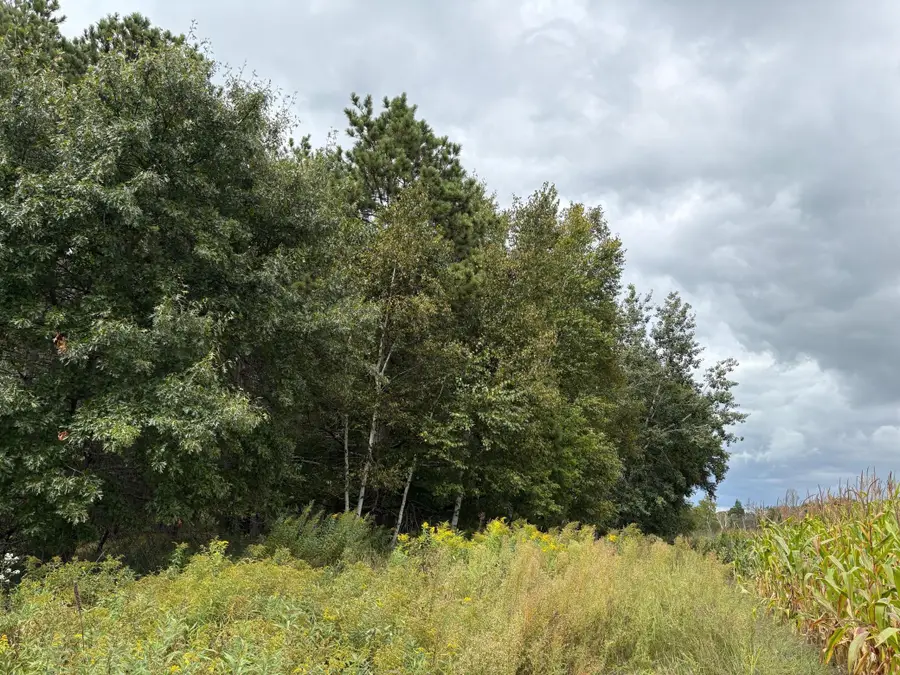 Lot 2 Lever Street Ne, Isanti, MN 55040 - #2