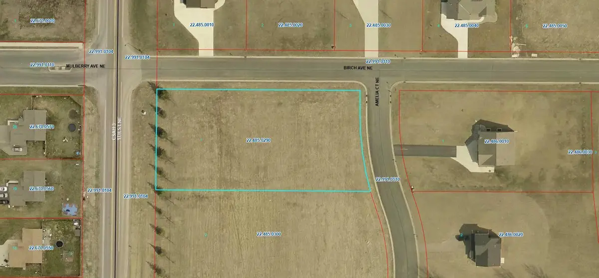 919 Amelia Court Ne, Montgomery, MN 56069 - Image #1