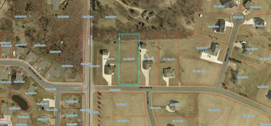 1005 Birch Avenue Ne, Montgomery, MN 56069 - #2