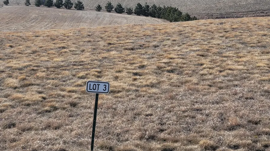 LOT  3 Eagle Landing Rd, Audubon, MN 56511 - #3