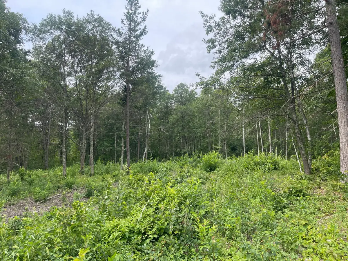 Lot 4 Patriot Ave, Pequot Lakes, MN 56472 - Image #1