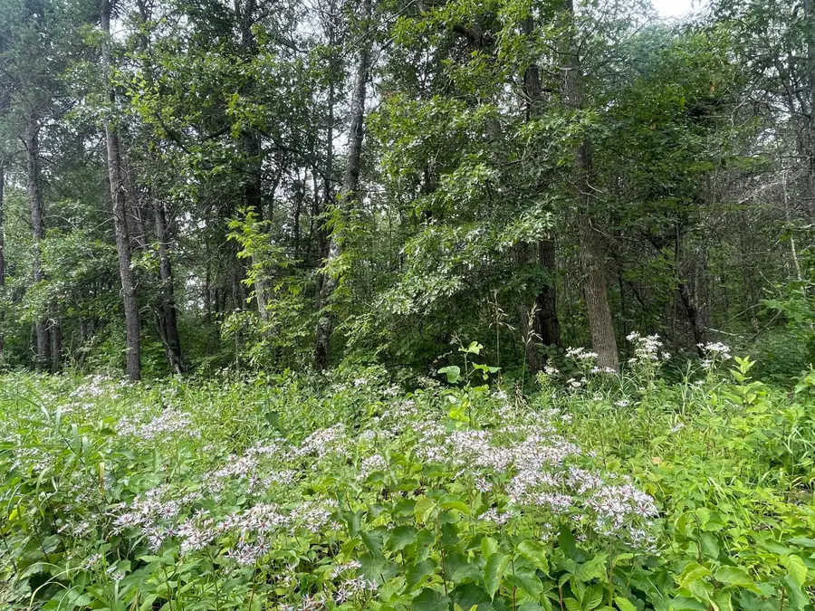 Lot 4 Patriot Ave, Pequot Lakes, MN 56472 - Image #3