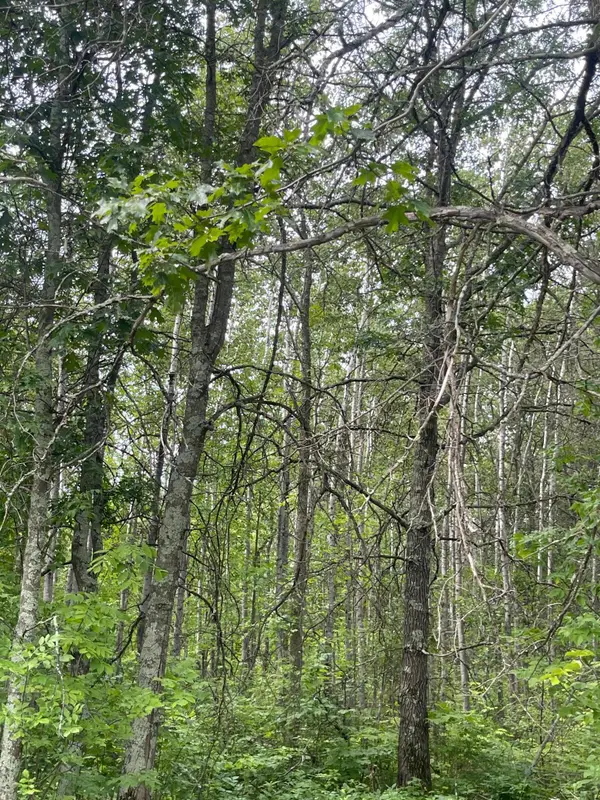 Lot 2 Patriot Ave, Pequot Lakes, MN 56472