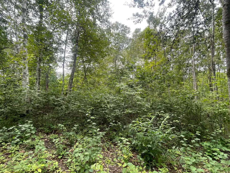 Lot 2 Patriot Ave, Pequot Lakes, MN 56472 - Image #2