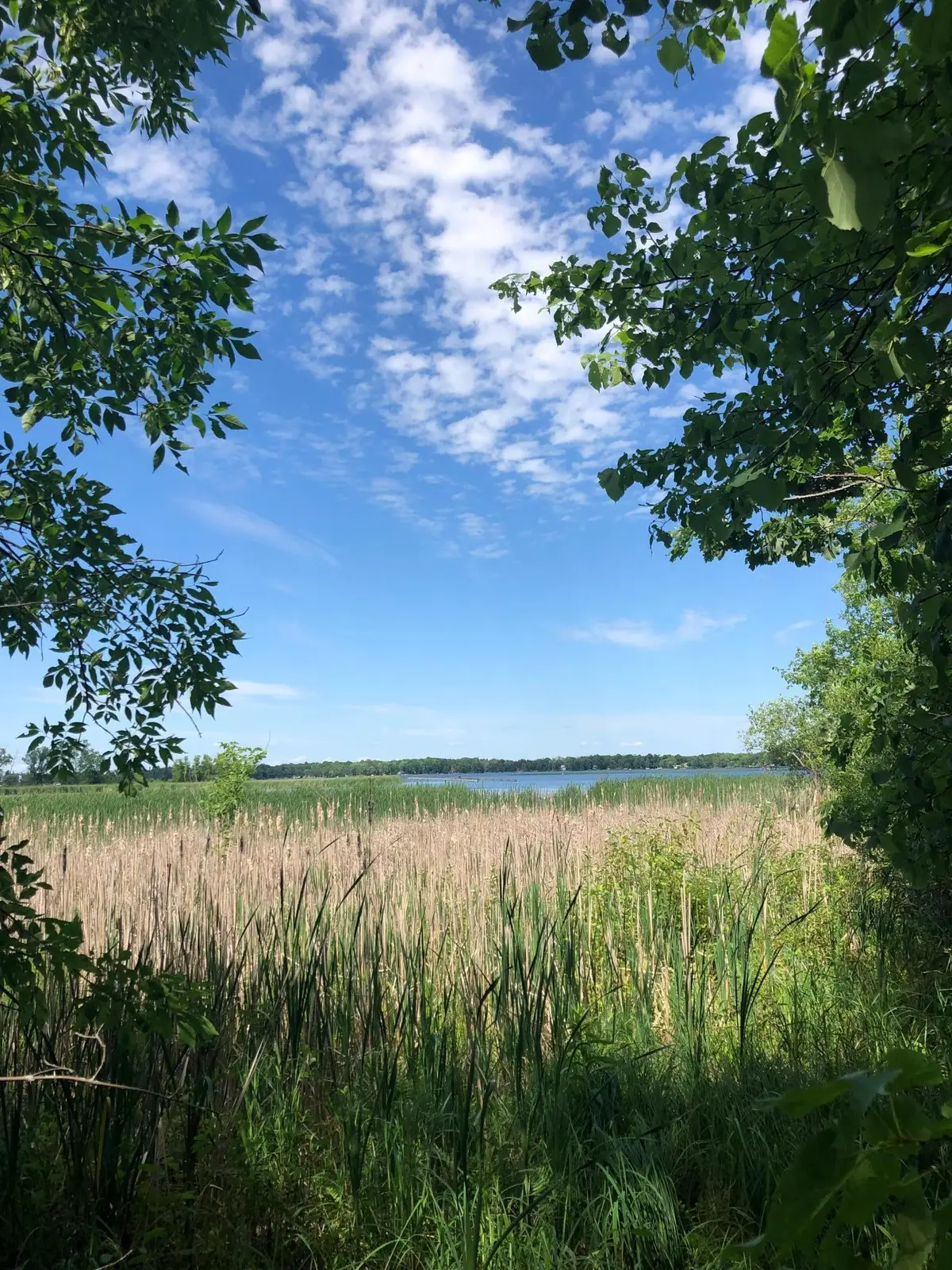 xx 388th St, Onamia, MN 56359 - Image #1