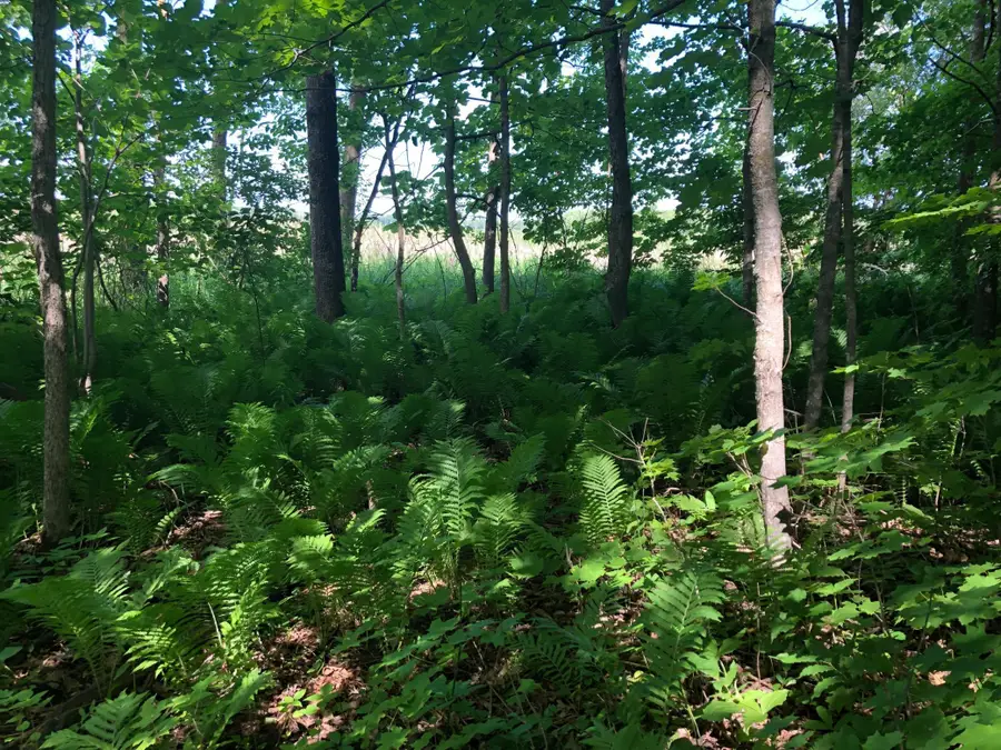 xx 388th St, Onamia, MN 56359 - Image #2