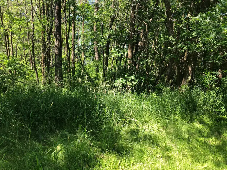 xx 388th St, Onamia, MN 56359 - Image #3