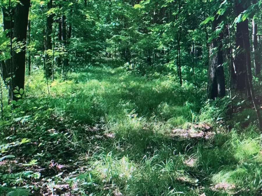 xxx 388th, Onamia, MN 56359 - Image #3