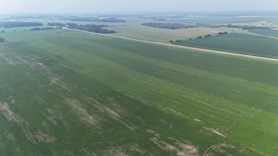 0000 County 61, Browerville, MN 56438 - #2