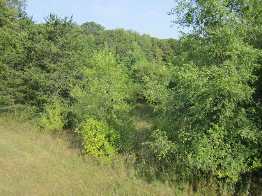 Lot 6 Block 1 Kettle River Boulevard Ne, Columbus, MN 55025 - #2