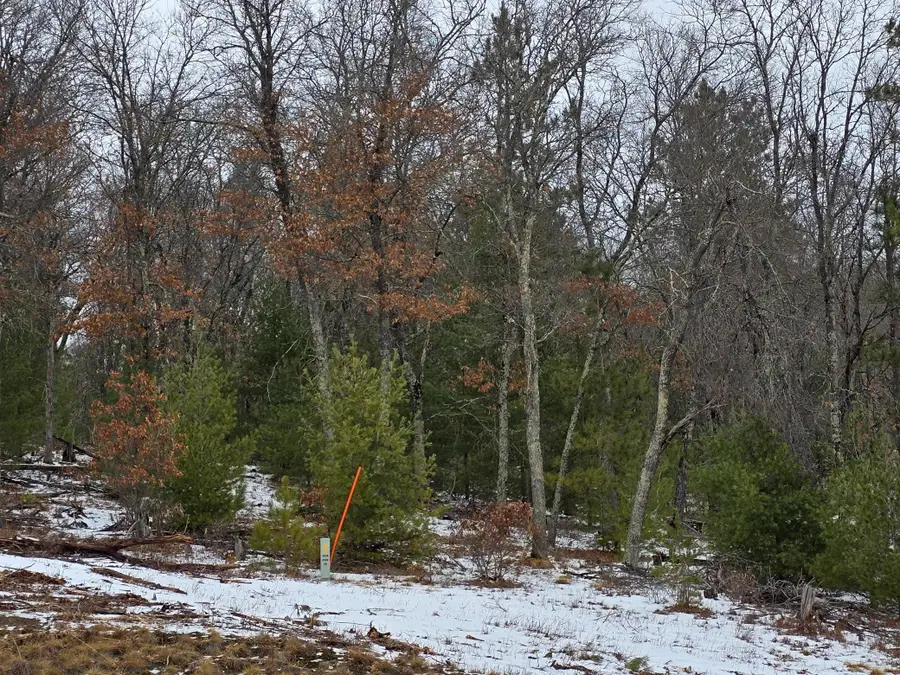 Lot 1 State Road 77, Danbury, WI 54830 - Image #2