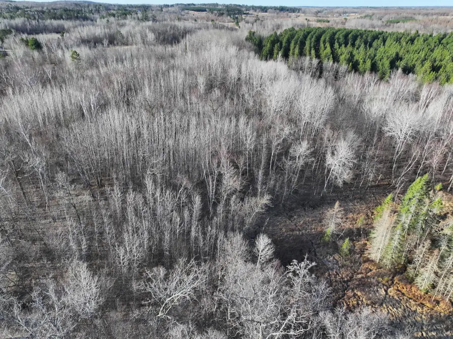TBD Bass Lake Road, Osage, MN 56570 - Image #2