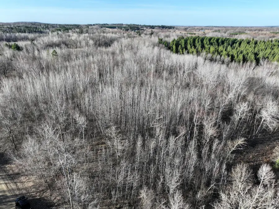 TBD Bass Lake Road, Osage, MN 56570 - Image #3