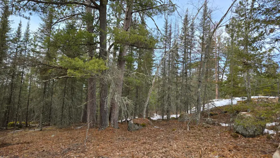 7316 Crane Lake Road, Crane Lake, MN 55725 - Image #3