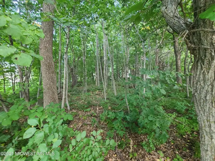 19733 Audubon Lake Road, Audubon, MN 56511 - #3