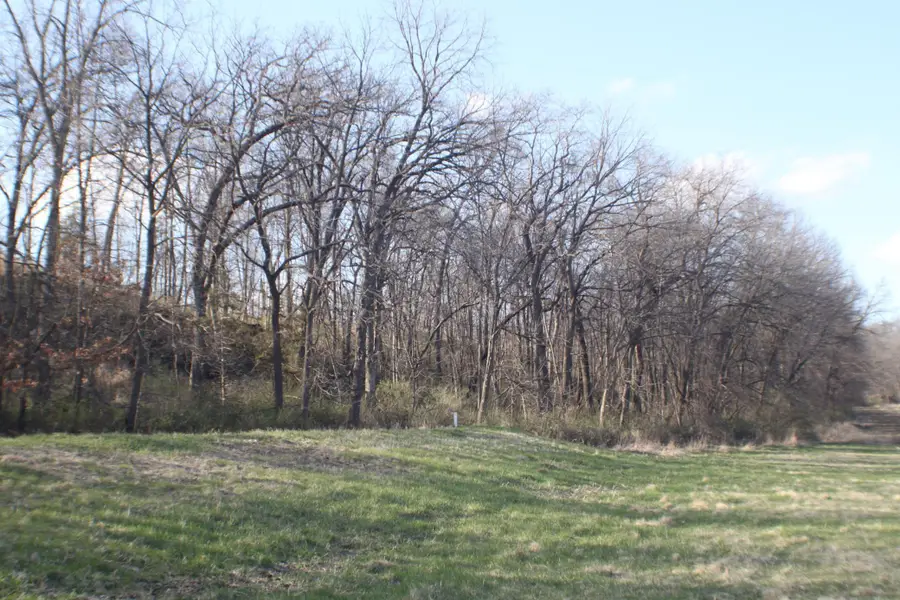 xxxxC Kings Park Road Nw, Oronoco, MN 55960 - #2