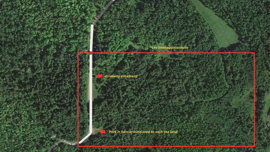 66XX Roses Rd, Finland, MN 55603 - Image #2