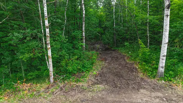 Lot 12 County Road 30, Crosby, MN 56441