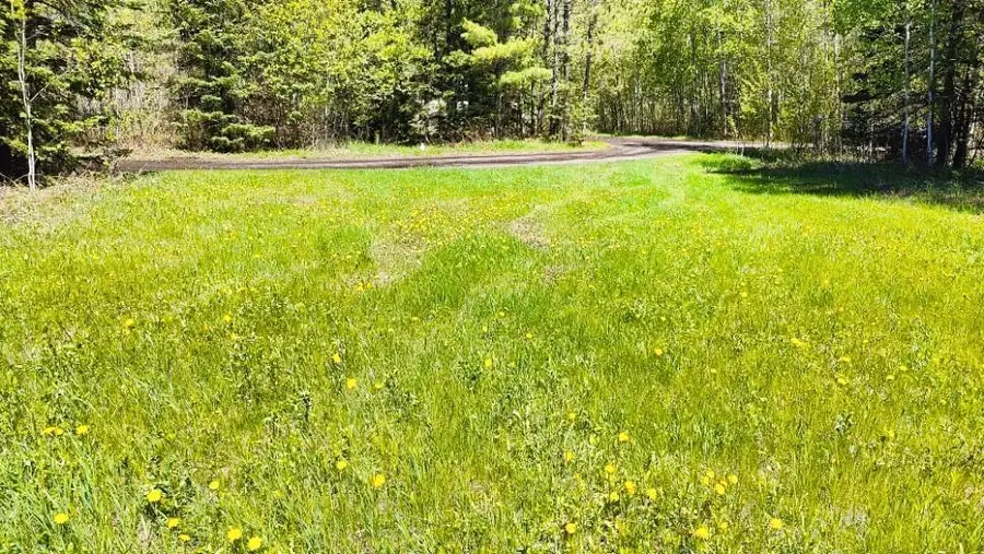 80012 Conifer Crest, Tower, MN 55790 - Image #3