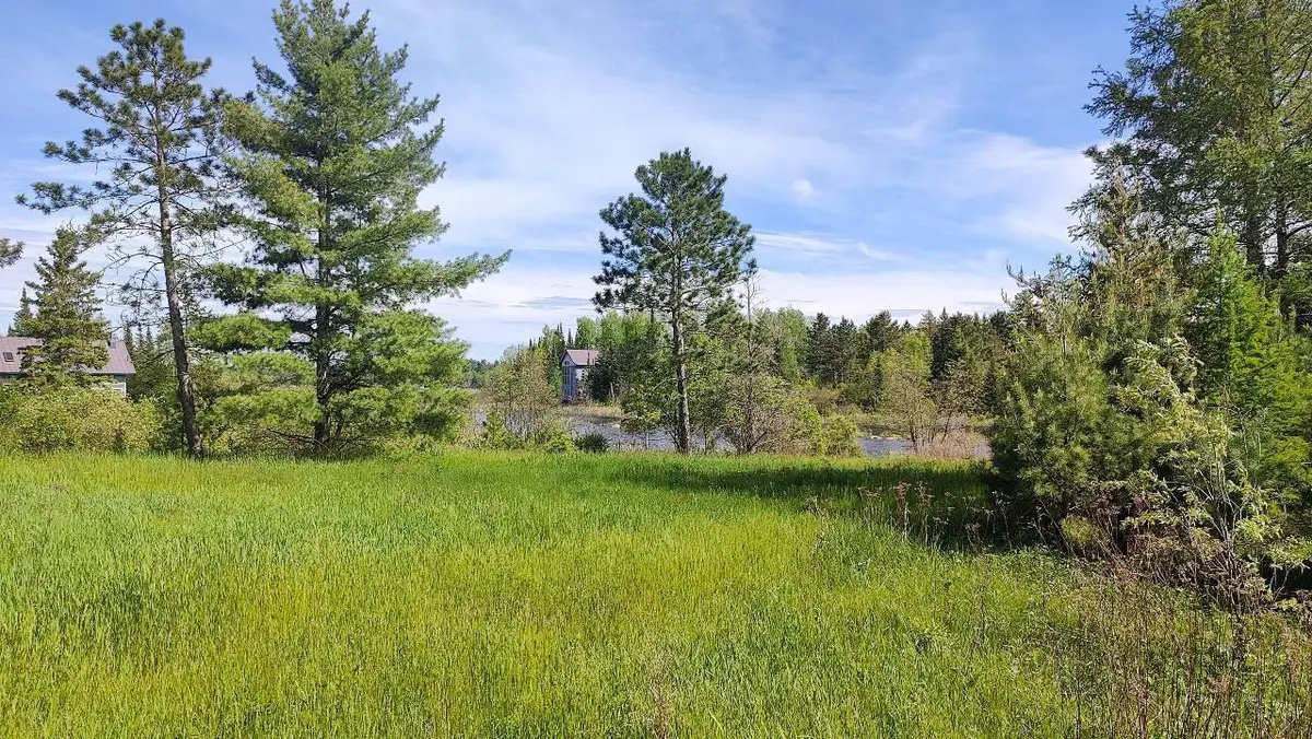 80048 Tamarack Trail, Tower, MN 55790 - #1