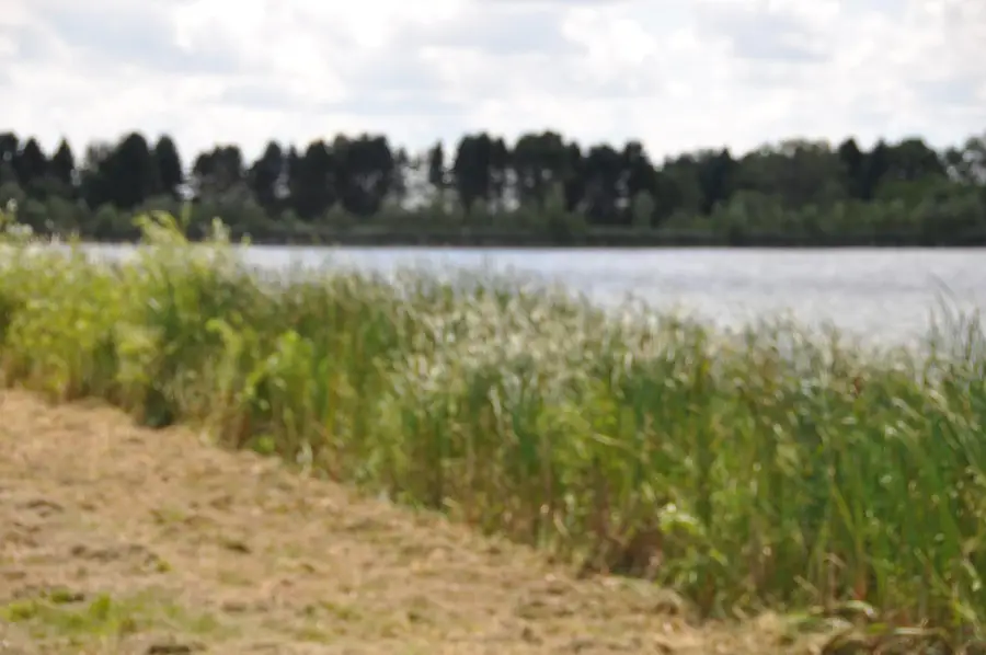 1309 20th Avenue S, Sartell, MN 56377 - Image #3