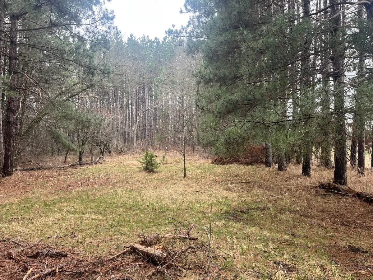 Xxxxx Old 67 Road, Henning, MN 56551 - Image #1