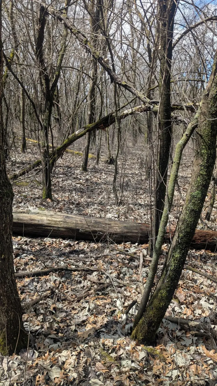 xxx Crosby Dr, Hudson, WI 54016 - #3