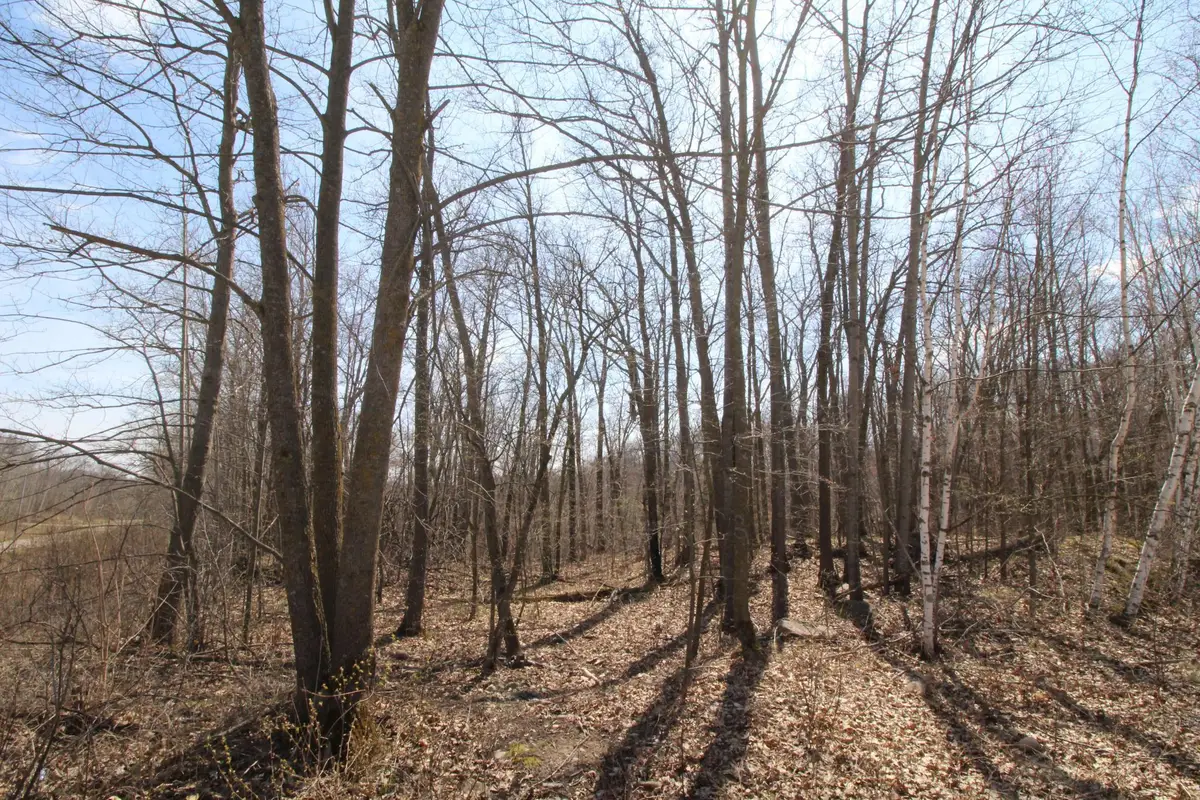 XXX Lake Camille Dr., Randall, MN 56475 - Image #1