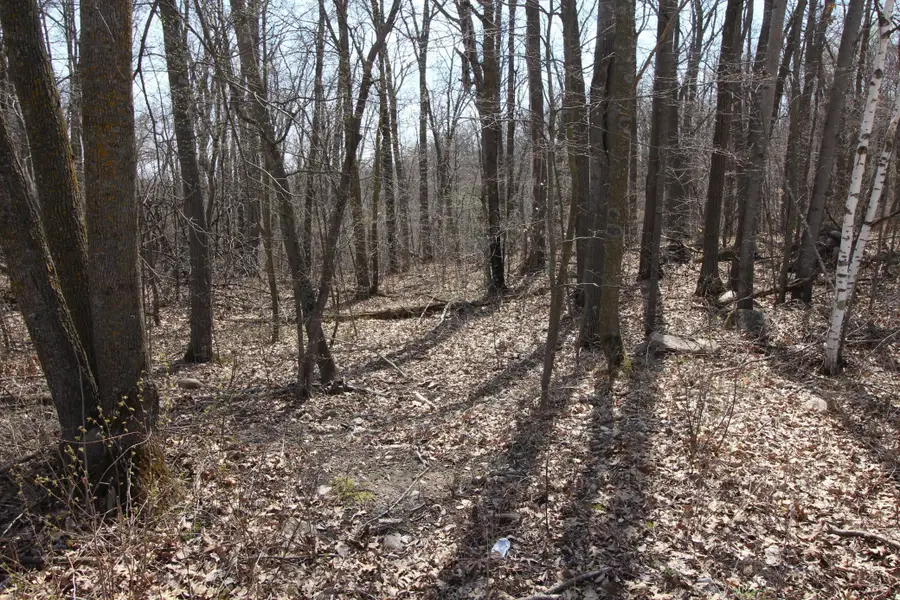 XXX Lake Camille Dr., Randall, MN 56475 - Image #2