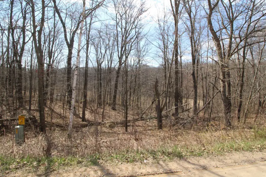 XXX Lake Camille Dr., Randall, MN 56475 - #3