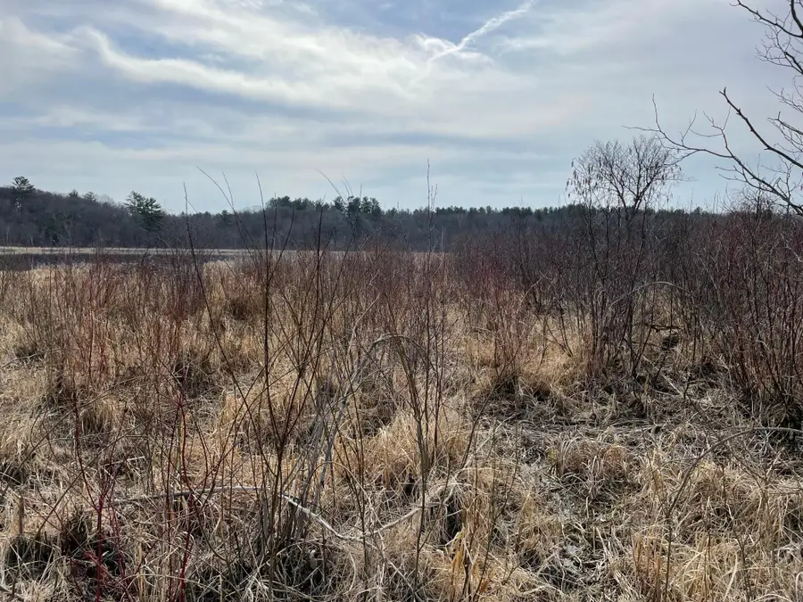 xxxx Ottawa Drive, Browerville, MN 56438 - #3