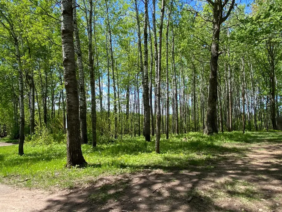 16025 370th Lane, McGregor, MN 55760 - Image #2