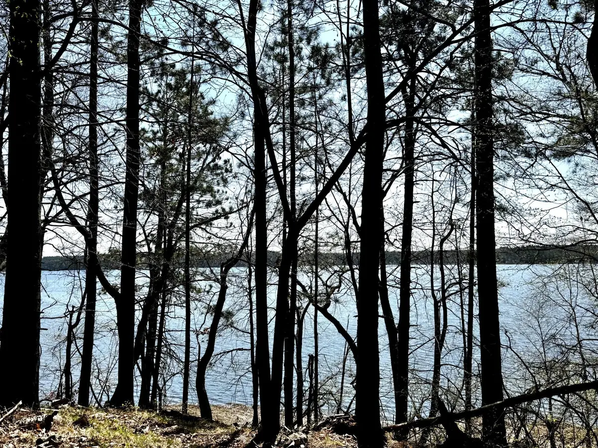 TBD Rognaldson Road, Brainerd, MN 56401 - #1