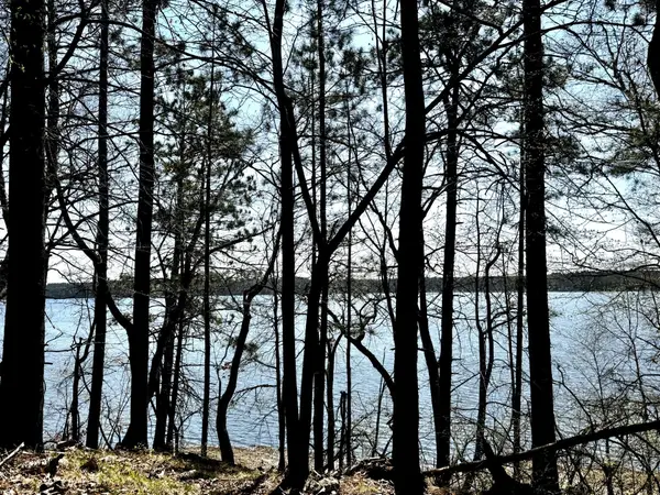 TBD Rognaldson Road, Brainerd, MN 56401