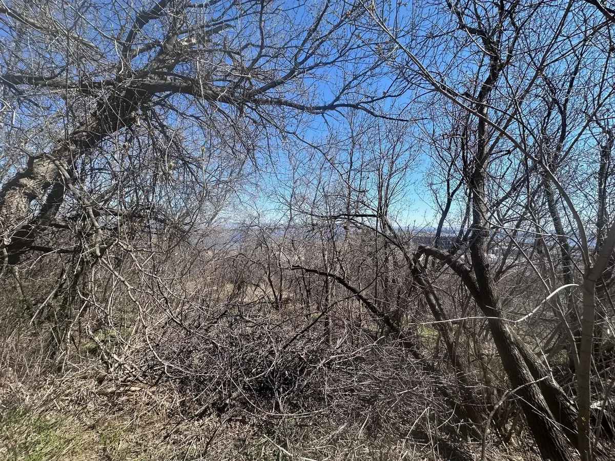 1010 W 2nd Street, Duluth, MN 55805 - #1