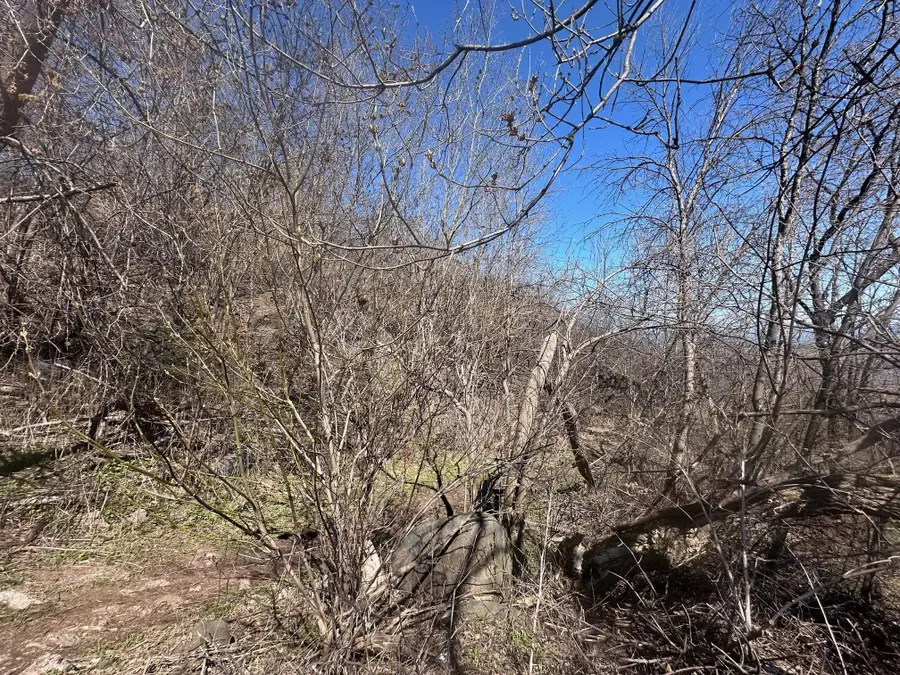 1010 W 2nd Street, Duluth, MN 55805 - #3